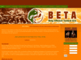 betaacademy.com