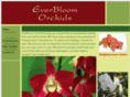 everbloomorchids.com