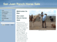 sanjuanranchhorse.com