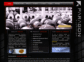 paragonaluminium.com