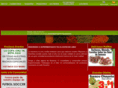 supermercadosteloloapan.com
