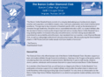 barroncollierbaseball.com