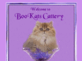 bookatscattery.com