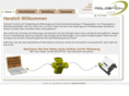 mold-stick.com