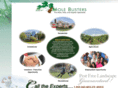 mymolebusters.com