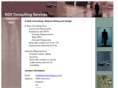rdvconsultingsvcs.com