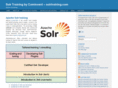 solrtraining.com