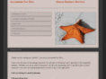 accountantforhire.net