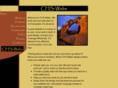chs-webs.com