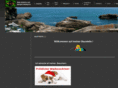j-meding.com