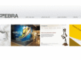 zebraitsolutions.com
