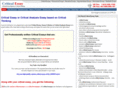 critical-essay.net