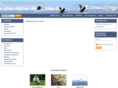 igreenware.com