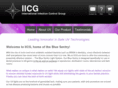 iicglight.com