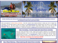 islanddiversactivities.com