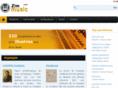 zimmusic.com