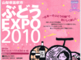 budou-expo.com