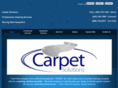 carpetsolutionsnh.com