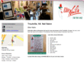 elitenailstroutville.com