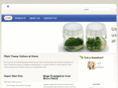 planttc.com