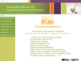 synergybirthservices.com