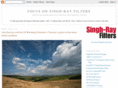 singh-rayblog.com