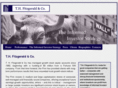 thfitzgerald.com