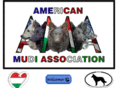 americanmudiassociation.org