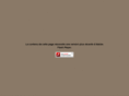 flamion.com