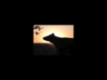 guesthousesanmiguel.com