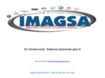 imagsaautomotriz.com