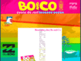 bocosurf.com