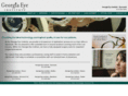 gaeyeinstitute.com