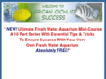 africancichlidsuccess.com