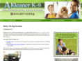 akleanerk-9.com