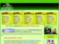 alienhosts.com