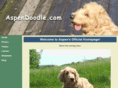 aspendoodle.com