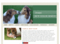 dfwcollierescue.org