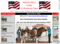 marschshowcattle.com