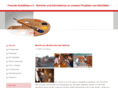 my-gekon.com