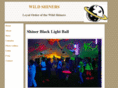 shinerball.com