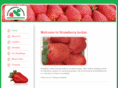 strawberryjo.com