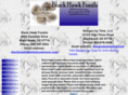 blackhawkfossils.com