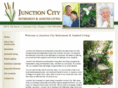 junctioncityassistedliving.com