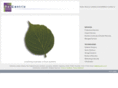 netcentrix.co.uk