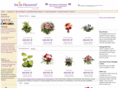netherlandsflorists.com