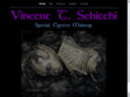 vincentschicchi.com