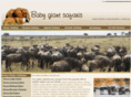 babygiantsafaris.com