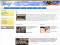 campbelltourney.com