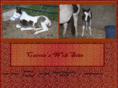 comanchecliffs.net